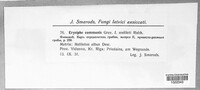 Image Associated With the Occurence